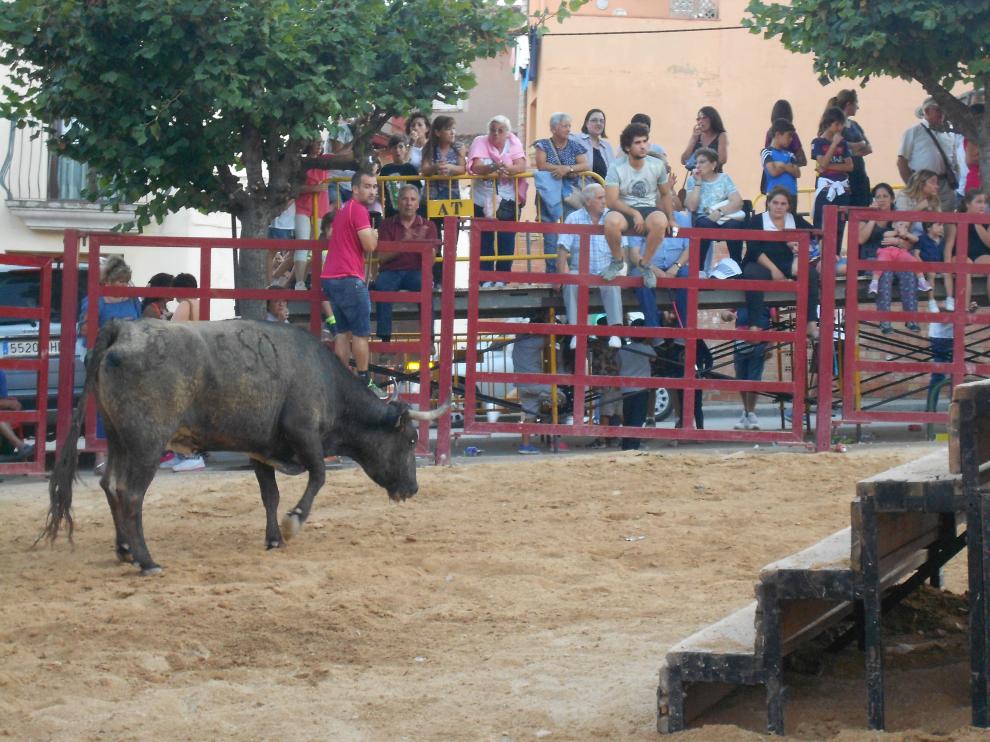 Las sueltas de vaquillas cuentan con mucha afición en el barrio.