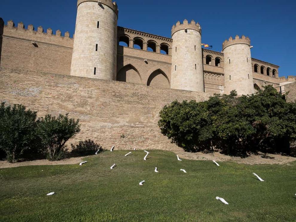 El acto tendrá lugar en el Palacio de la Aljafería.
