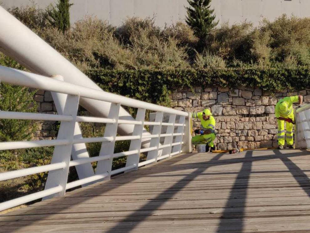 Lazos amarillos en Fraga