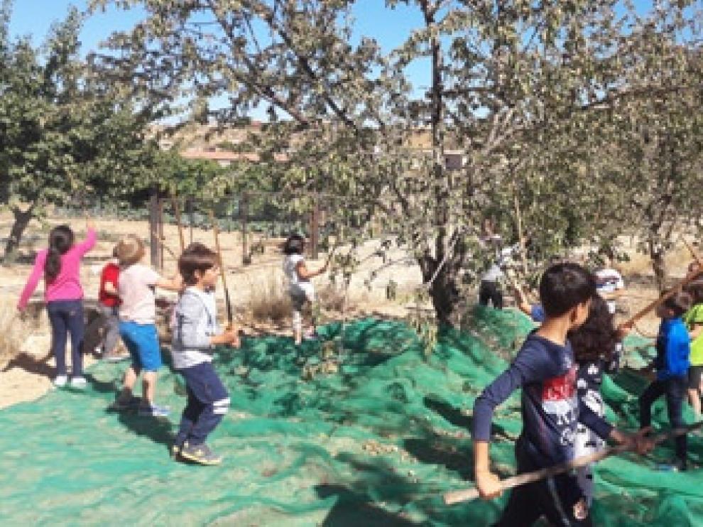 Niños de Calaceite, en contacto con almendros.