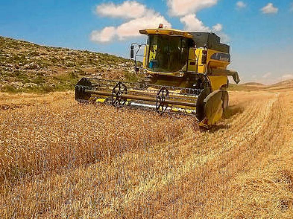 Un agricultor, en plena cosecha