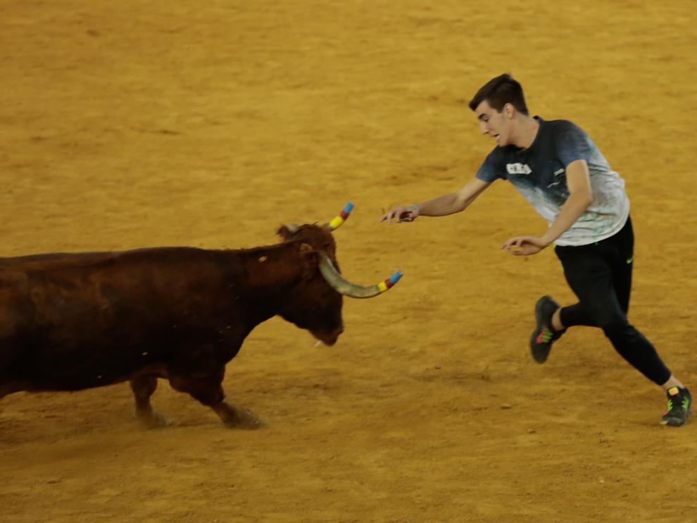 Turno para el ganadero navarro Santos Zapatería.