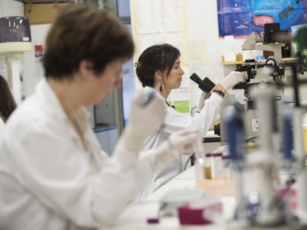 Grupo de investigación Lagenbio de la Universidad de Zaragoza