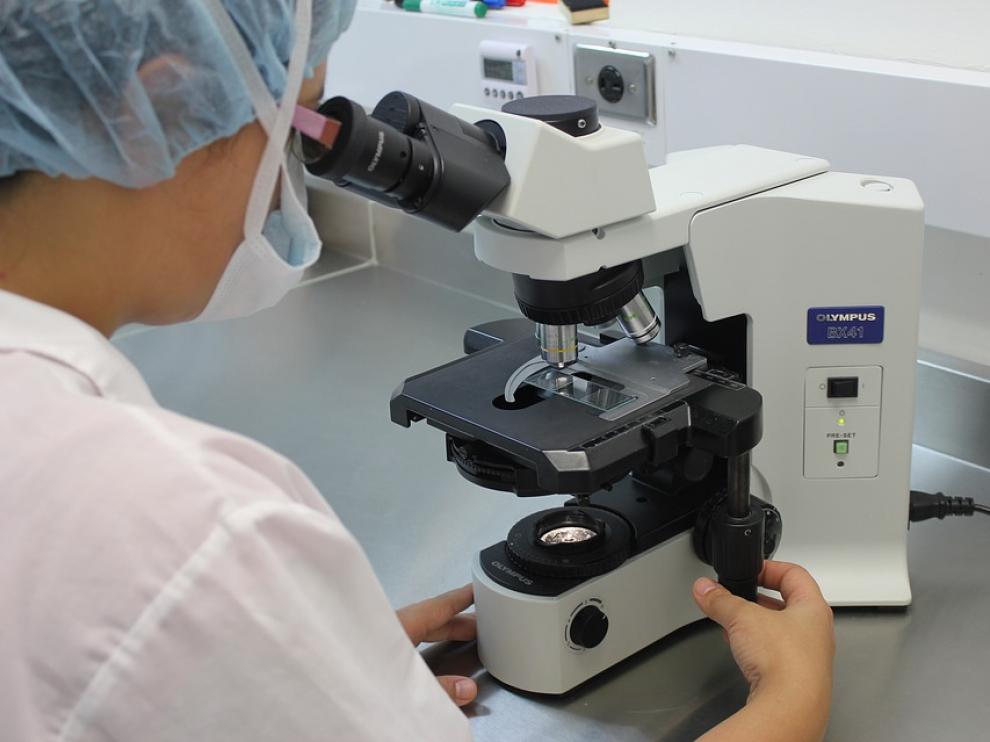 En la última década se han incrementado las contrataciones de investigadoras en el sector privado y en la Universidad de Zaragoza.