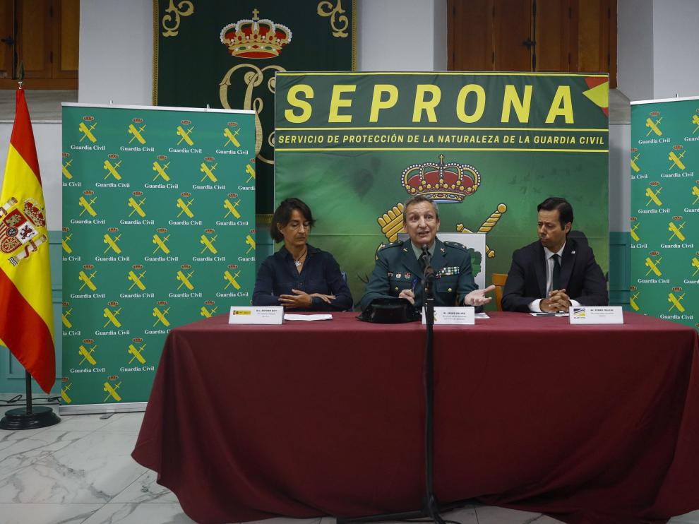 Rueda de prensa del Seprona para infromar sobre la operación Tarentelo.