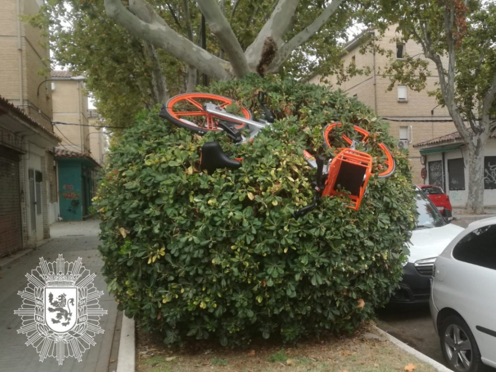Bici sobre un arbusto en una foto subida a Twitter por la Policía Local.