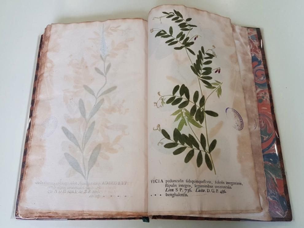 Uno de los libros del Real Jardín Botánico de Madrid, afectado por bacterias