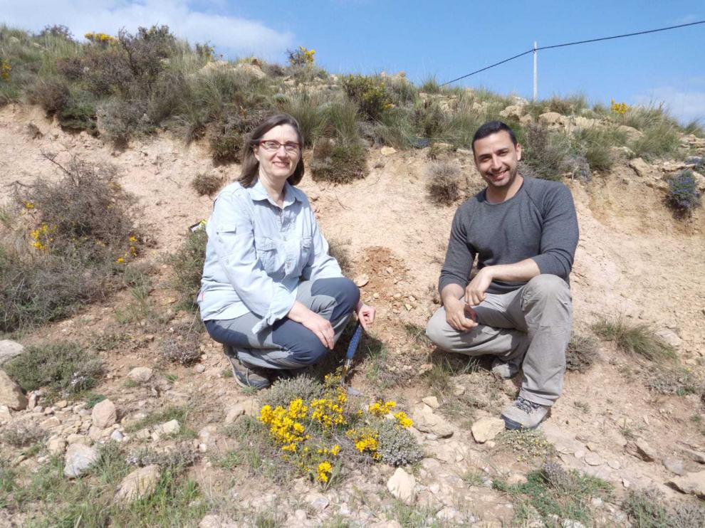 Daniel DeMiguel y Beatriz Azanza, investigadores de la Universidad de Zaragoza y autores del trabajo muestreando en campo.