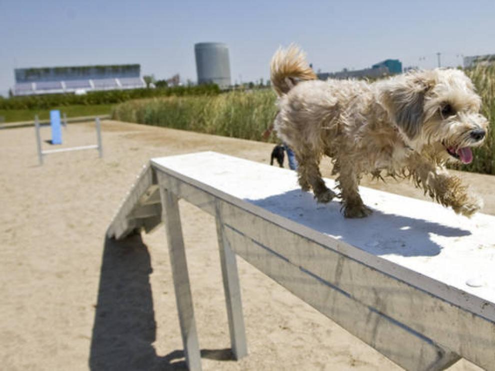 Zona para perros en el parque del Agua de Zaragoza.