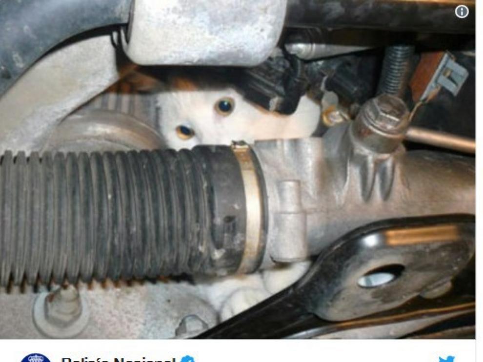 Mensaje de la Policía en el que se alerta del peligro que supone que un gato se meta en el motor.