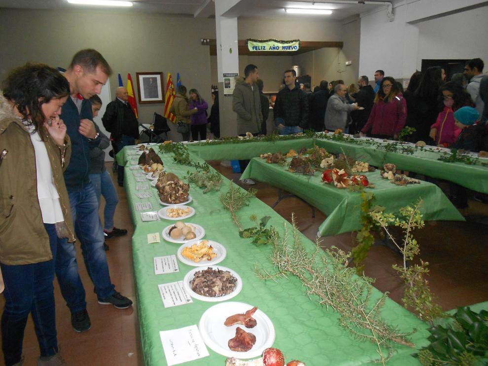 Pie de foto: La exposición de especies y la degustación micológica han contado con una gran afluencia de público.