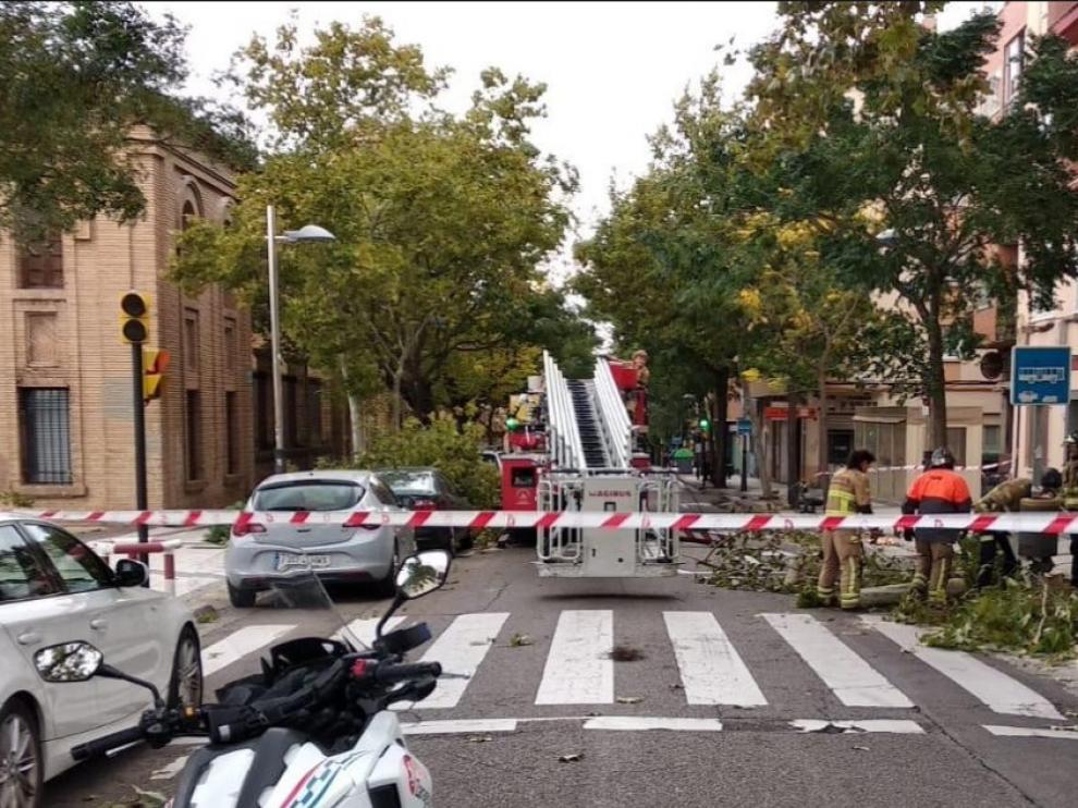 La avenida América, cortada diez minutos por la caída de un árbol