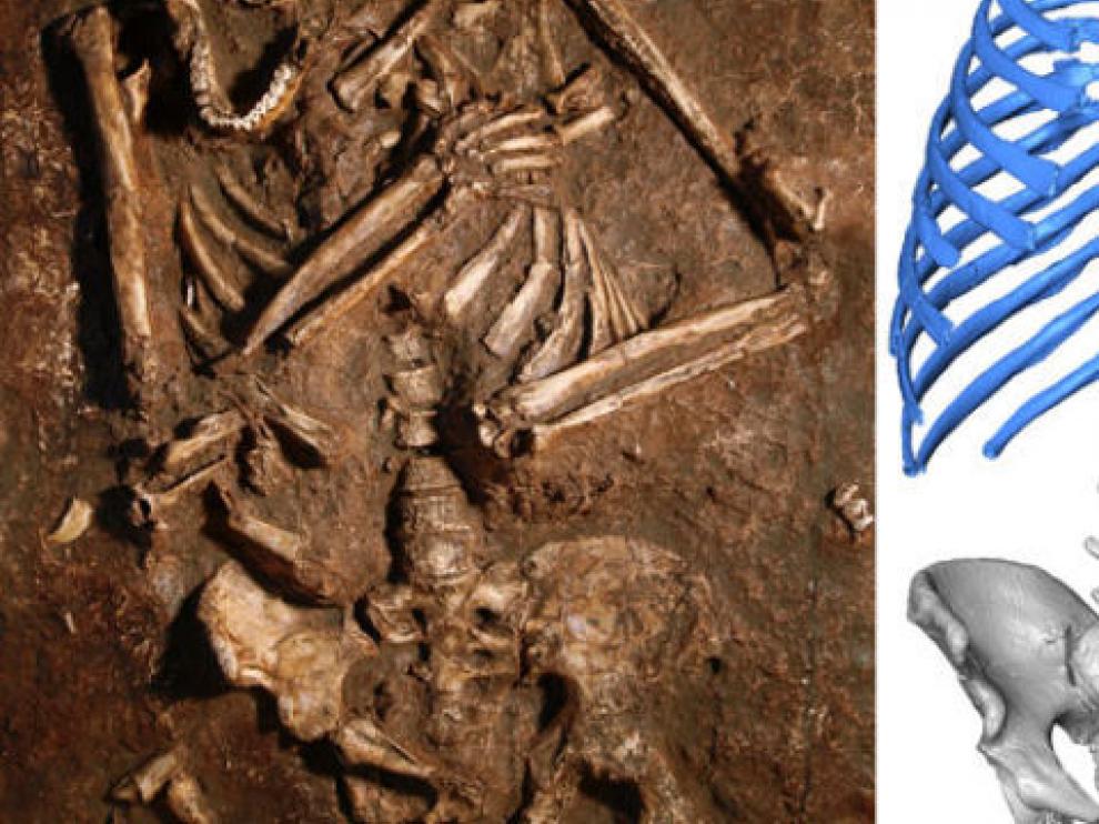 Los neandertales caminaban más erguidos y tenían más capacidad pulmonar que nosotros