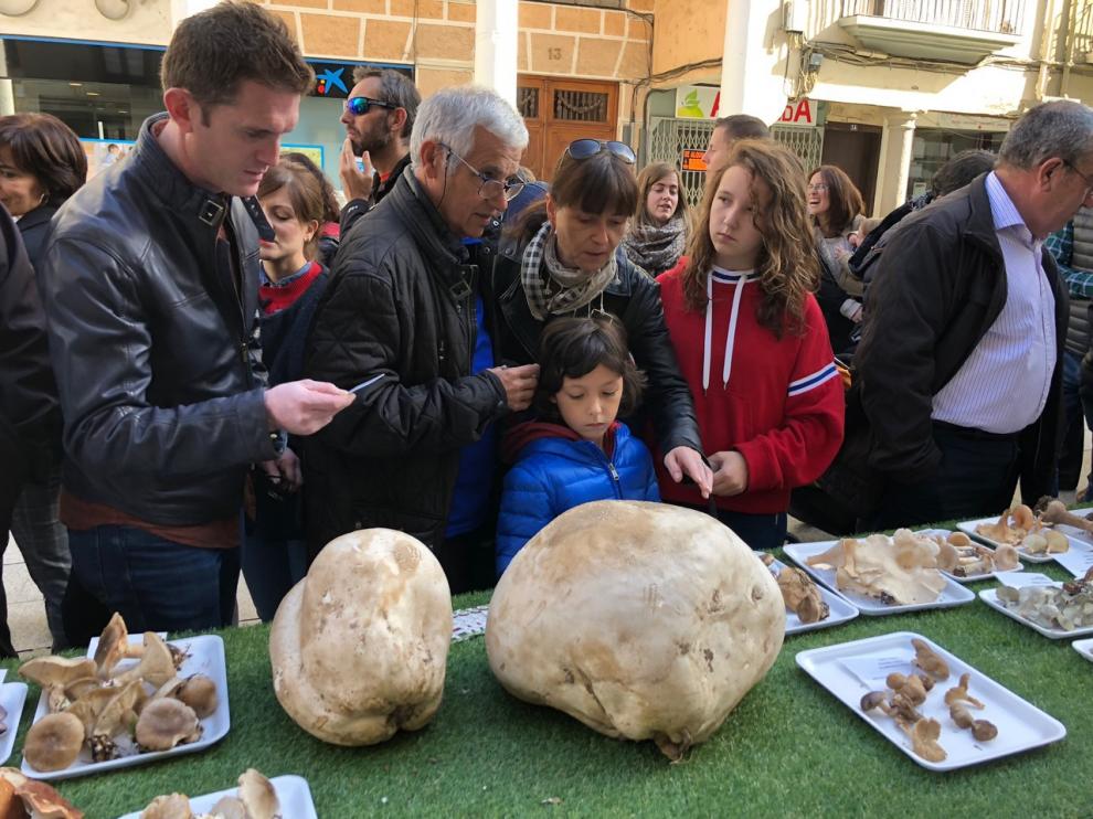 Celebración de las Jornadas Micológicas del Somontano. Barbastro.