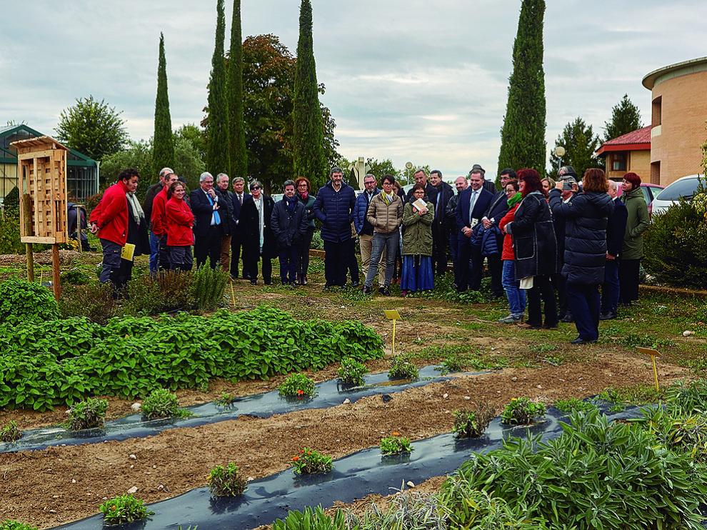 Los socios del proyecto visitaron ayer la plantación experimental de plantas aromáticas en Brotalia.