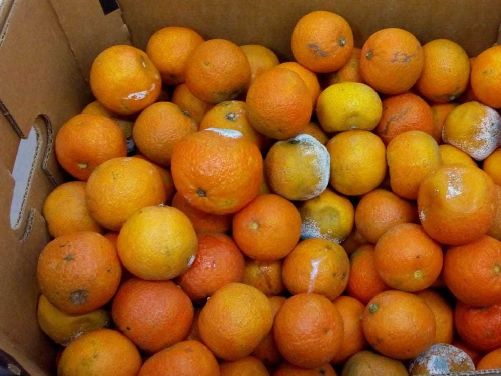 Mandarinas recibidas este martes en un comedor escolar de Zaragoza gestionado por Eurocatering.