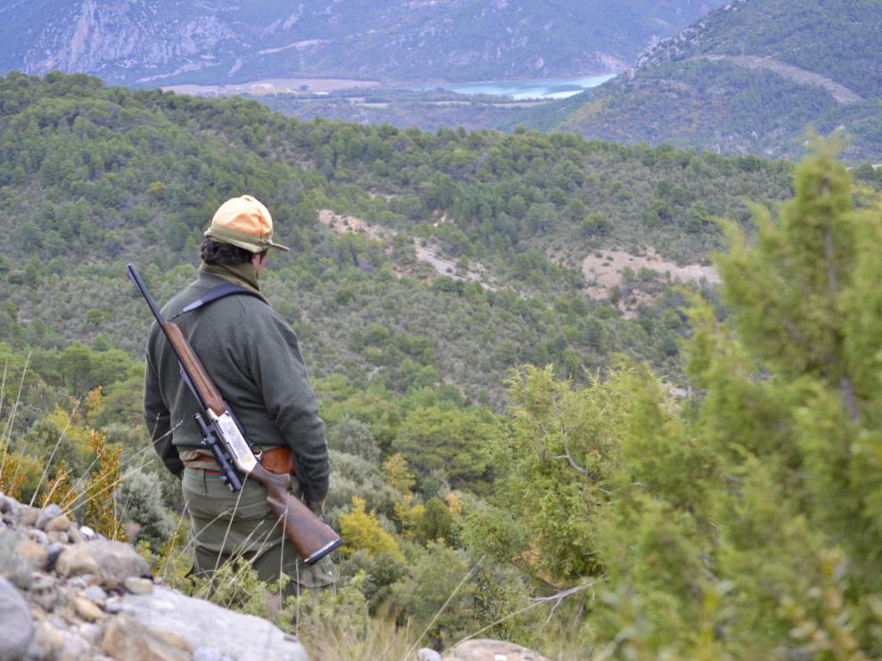 Batida al jabalí en la provincia de Huesca.