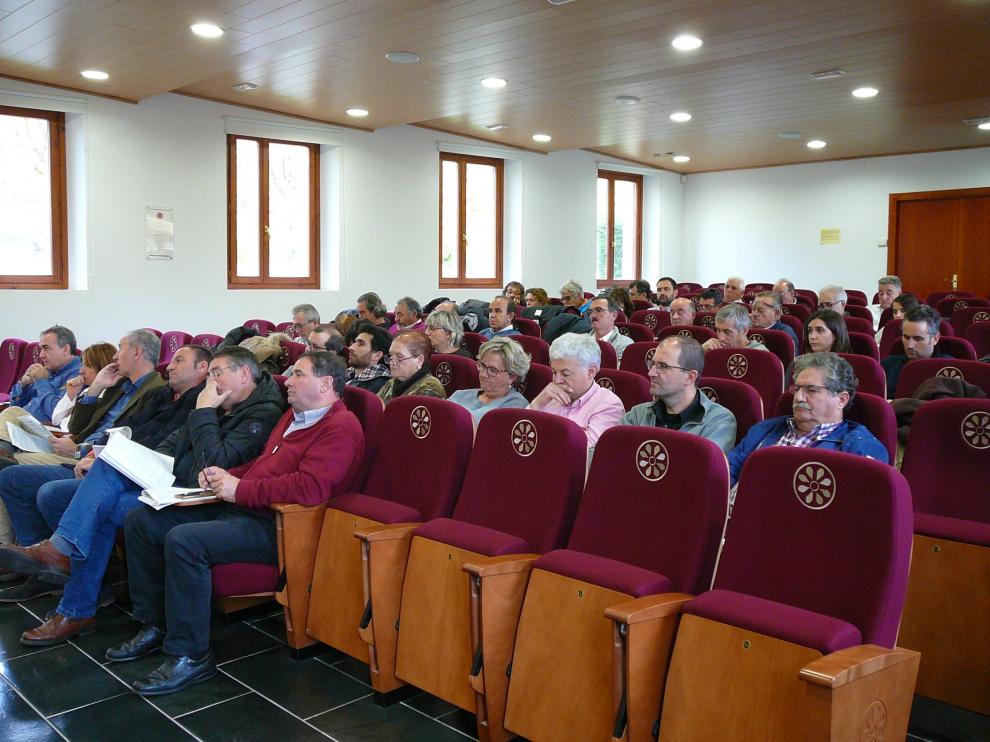 Los alcaldes asistentes a la asamblea celebrada en Boltaña este sábado