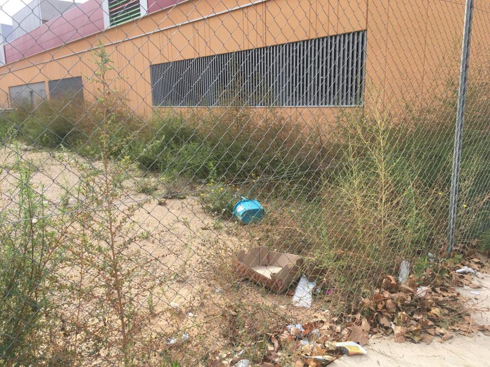 Entorno del colegio de Rosales del Canal