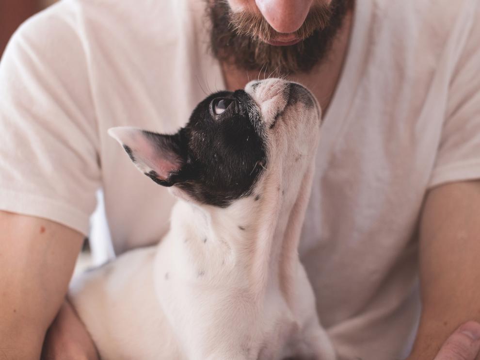 El amor entre un perro y su dueño es incalculable.