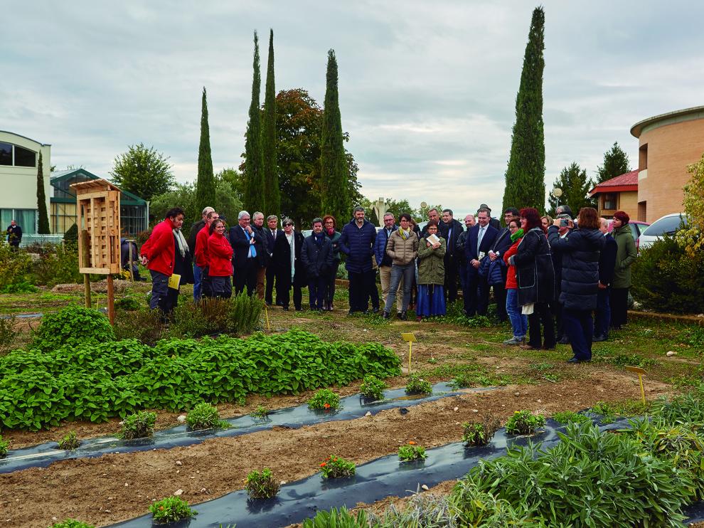 Visita a las instalaciones del Centro Manuel Artero para ver la evolución del proyecto.