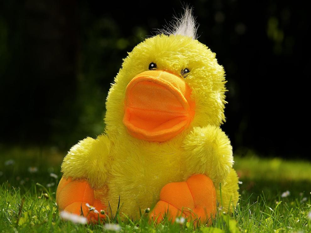 La 'mascota' consistía en un peluche de un pollo amarillo.