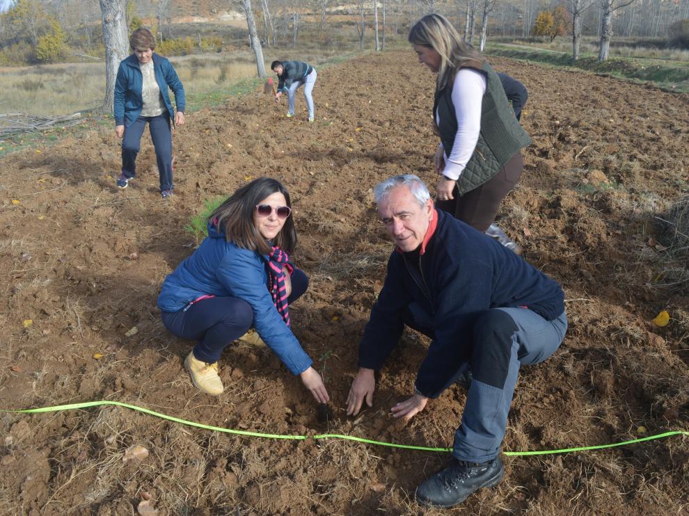 La zona de las Puentecillas, en Escorihuela, fue el lugar escogido para la replantación.