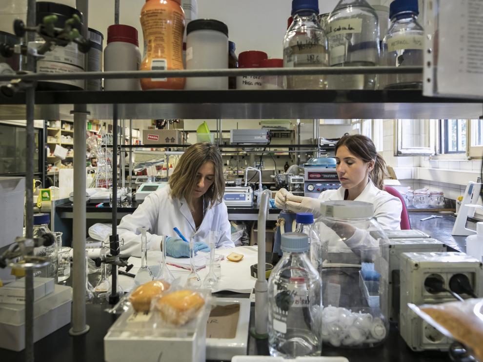 Grupo de investigación de alimentos de origen vegetal IA2
