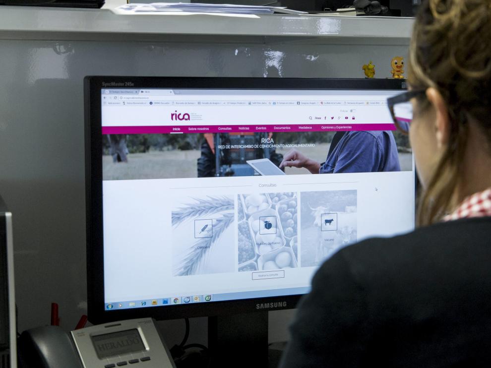 Una internauta consulta una página web