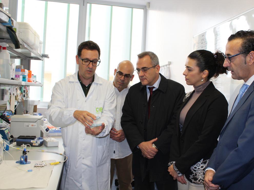 El investigador Ignacio Giménez explica el estudio en el laboratorio del Centro de Investigación Biomédica de Aragón (CIBA).