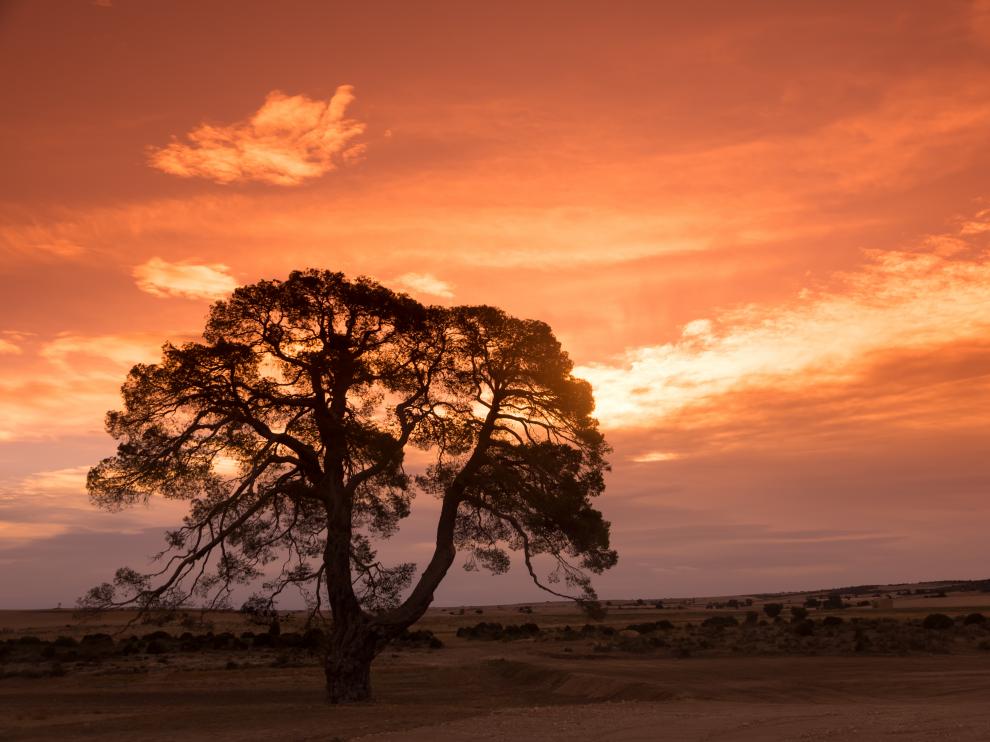 Una de las fotos del concurso del año pasado.