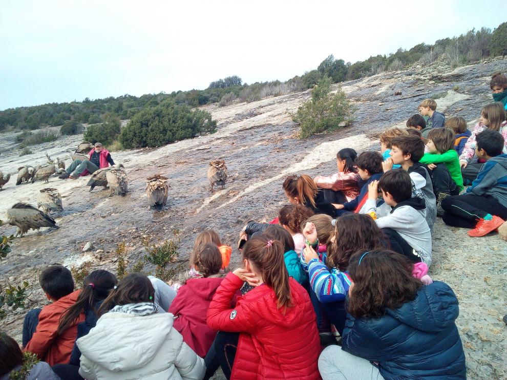 Los escolares se acercaron hasta el comedero de los buitres en Santa Cilia de Panzano.