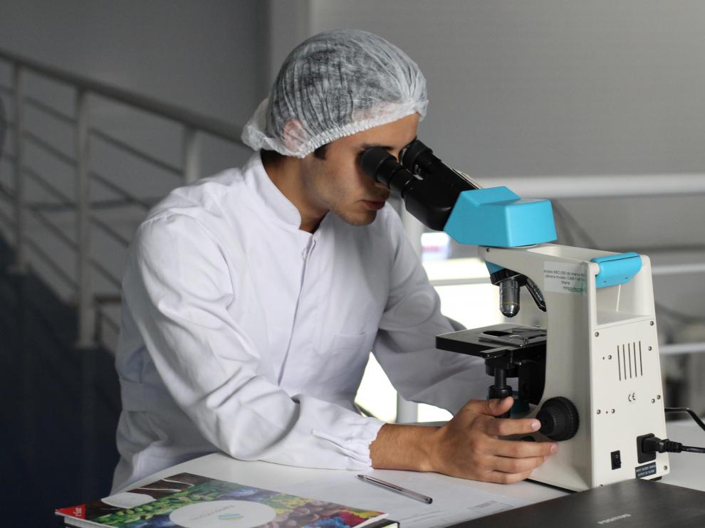 Los avances en ingeniería genética pueden hacer que la Humanidad entre en una nueva fase.