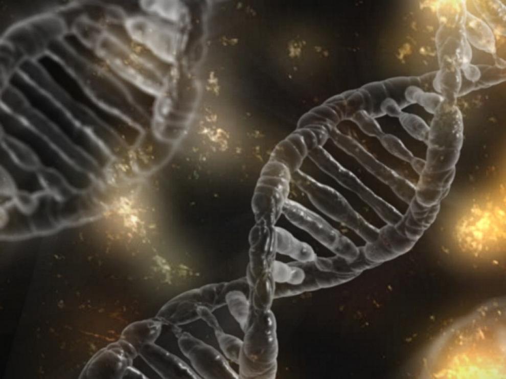 El perfil genético puede usarse para ayudar a diagnosticar una enfermedad, o saber cómo evoluciona o responde al tratamiento con medicamentos.