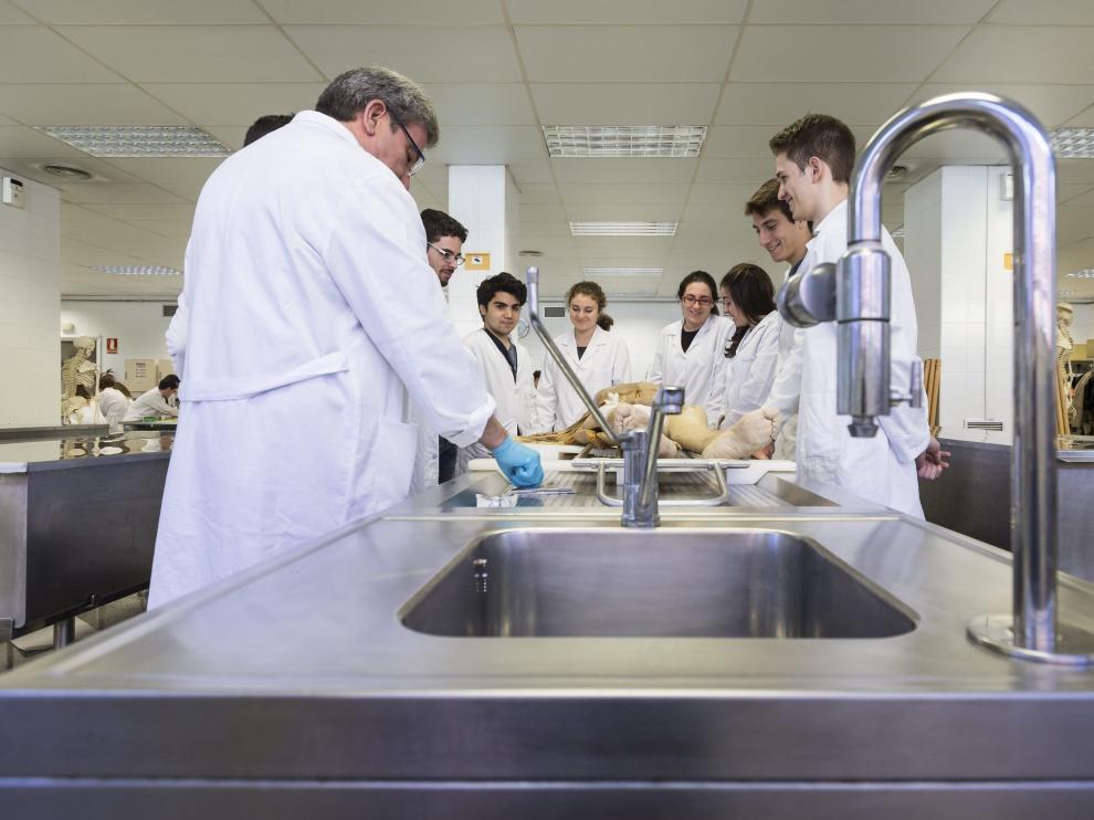 Un grupo de estudiantes de Medicina atiende las explicaciones de su profesor