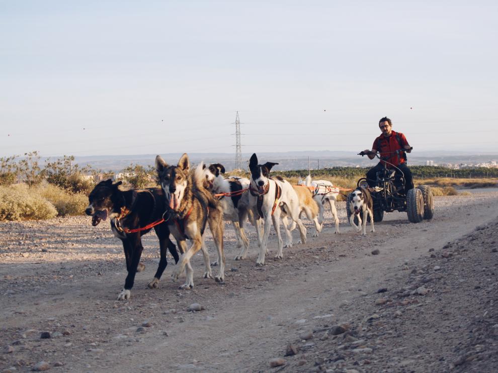 Mushing Monegros