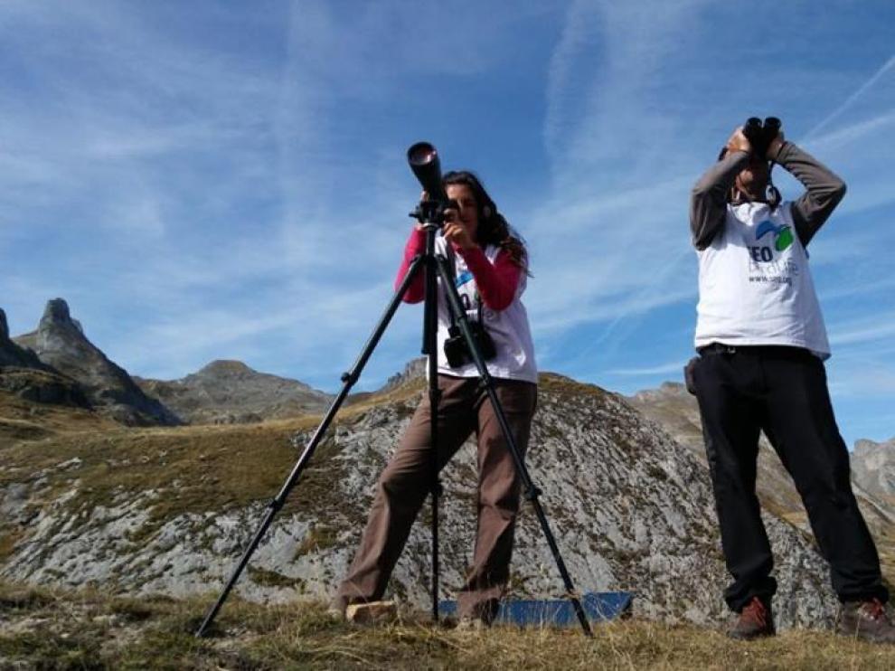Dos técnicos del proyecto en uno de los puntos de observación de aves del Pirineo