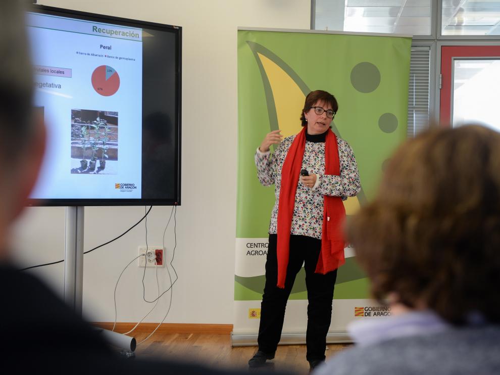 Pilar Errea, investigadora del CITA, en su exposición sobre frutales antiguos de la Sierra de Albarracín