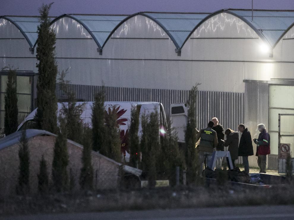 La Guardia Civil estuvo a principios de diciembre en Tauste destruyendo las plantas de cannabis, un trabajo al que dedicó más de diez horas.
