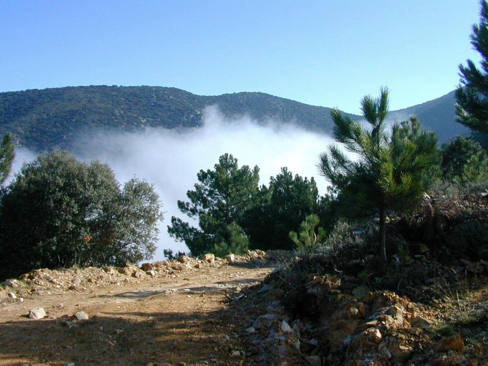 Paisaje con niebla en la sierra de Vicort.