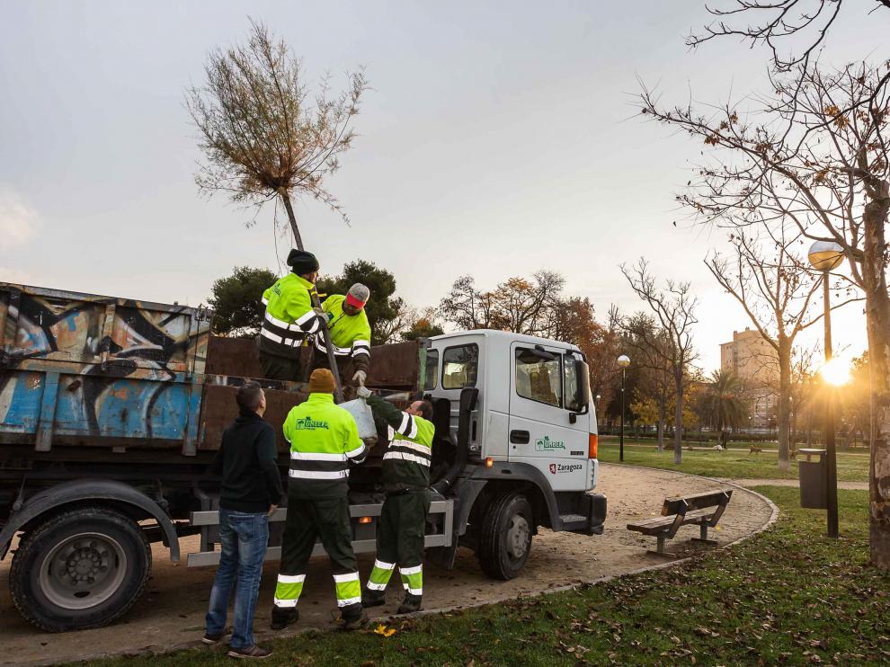 Hace unos días se iniciaron una serie de mejoras en las praderas del parque del Tío Jorge.