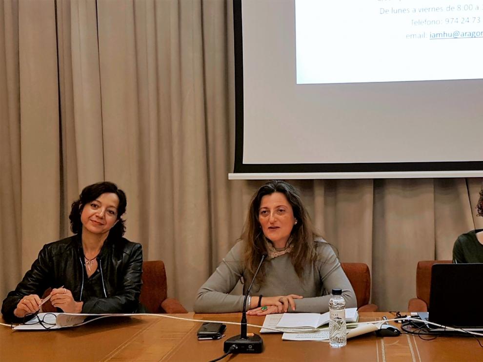 La subdelegada del Gobierno en Huesca, Isabel Blasco (en el centro), durante la inauguración de la jornada de formación.
