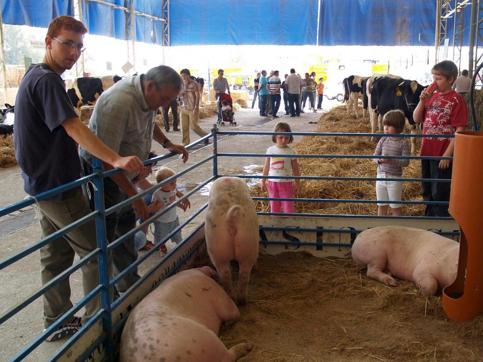 Imagen de archivo de la presencia del sector porcino en Femoga