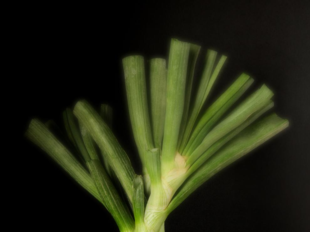Es una cebolla de sabor muy suave, tierna, jugosa, crocante y con escaso picor.