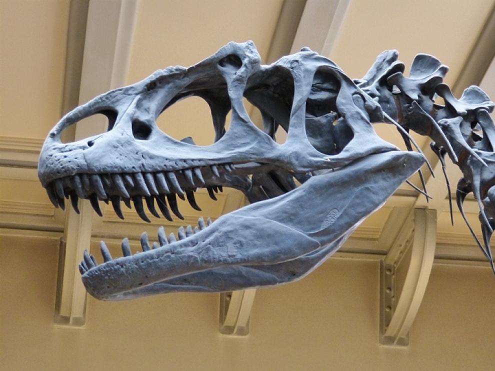 El asteroide Chicxulub acabó con los dinosaurios hace 66 millones de años.