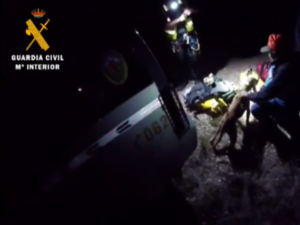 La operación de rescate del animal se alargó hasta la noche