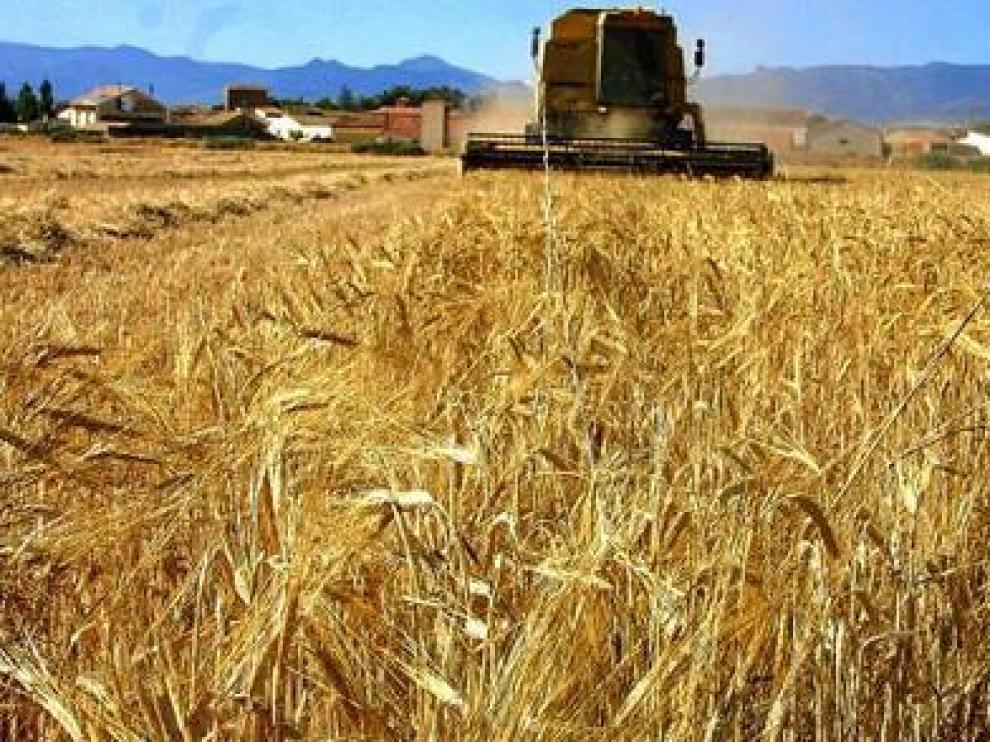 Los costes aumentan a un ritmo muy superior al valor de la producción en Aragón.