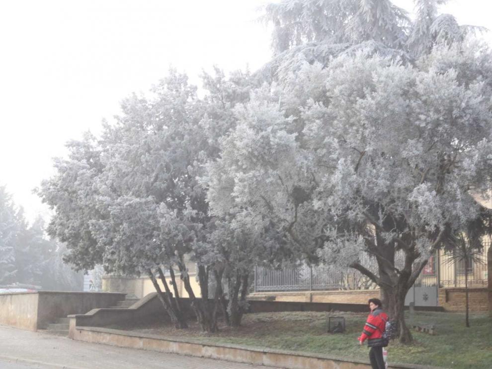La cencellada cubre Huesca y sus alrededores
