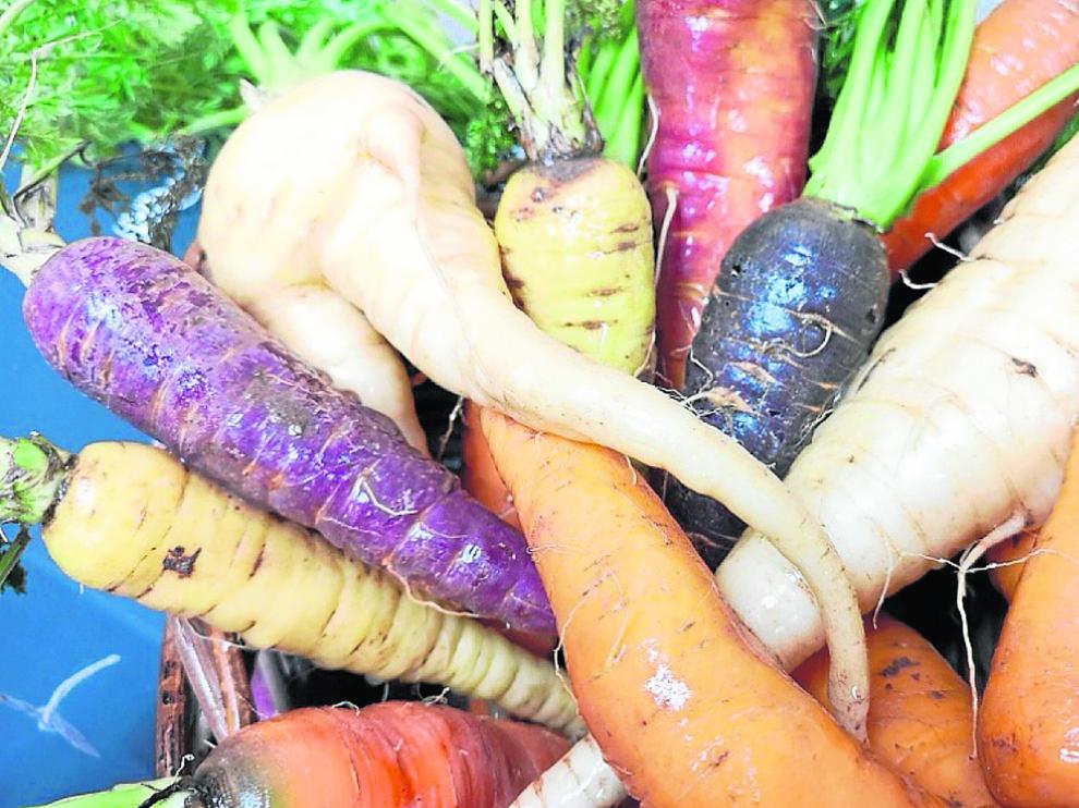 La zanahoria es un alimento con un alto grado nutricional gracias a su contenido en vitaminas y minerales.