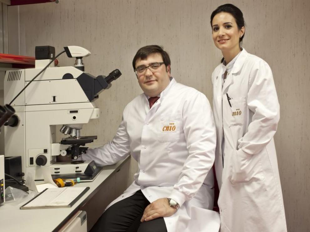 Elena Castro y David Olmos, de la Unidad de Investigación Clínica de Cáncer de Próstata del CNIO.